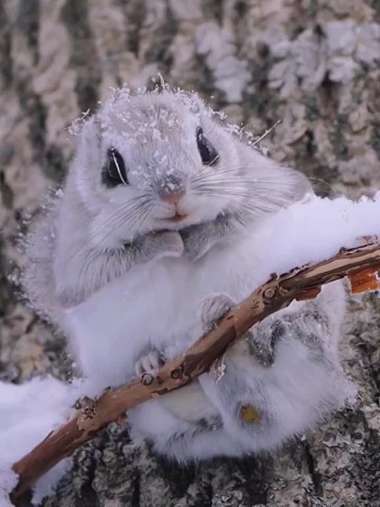 ������ ������: ������� ������ ������ ��� �������� ���������� � ����� ���� �� ������