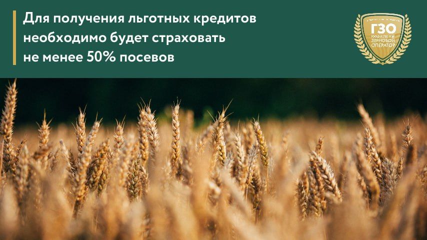 ��� ��������� �������� �������� ���������� ����� ���������� �� ����� 50% �������