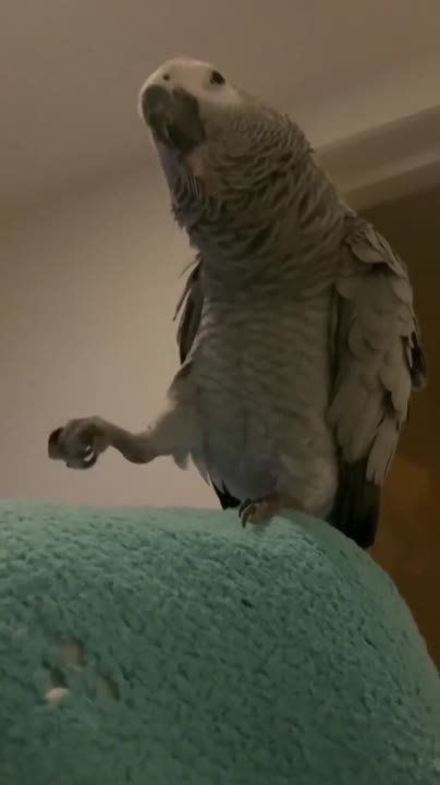 ������ ������: � ������ �������� ���! � ����� � ��� ���� ����� ���? �������� � ������������