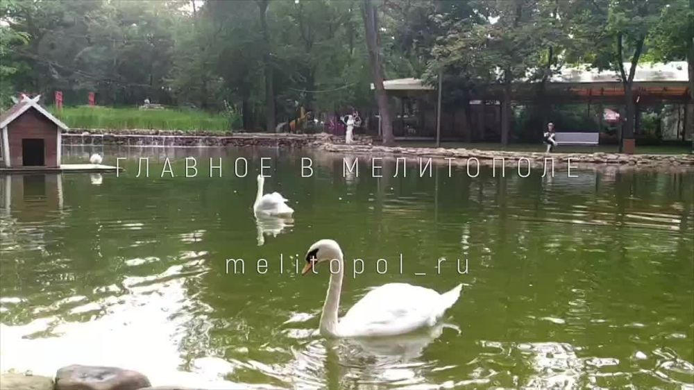 � ��������� ����� ���������� �������� ����� ������