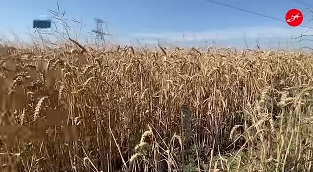 � ����������� ������� ������ ����� ���� ��������� ��������