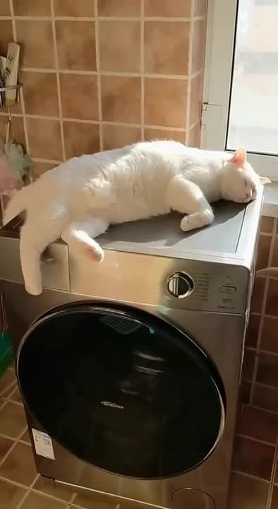 ������ ������: � ������ �����! ������� ����� ���� ������ ���������� � �������