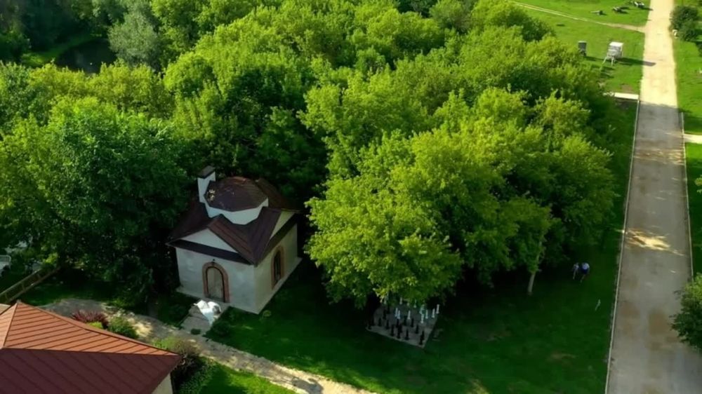 ������ ������: ������� ����������-�������������, �������� �������