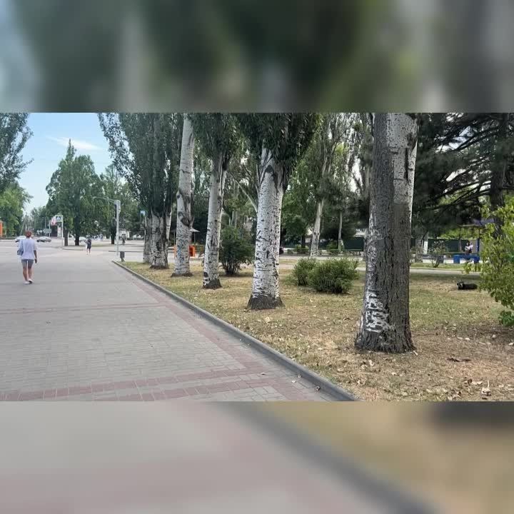 � ���������� ���������� ����