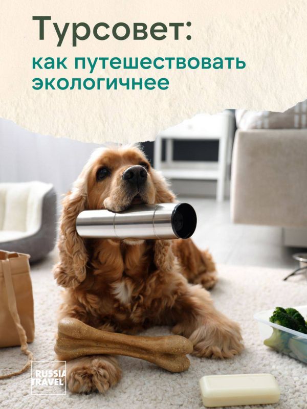 ������ ������: ����������� ����������� � ��� �� ������ �����, � ����� ����� ����� � ����� ��������