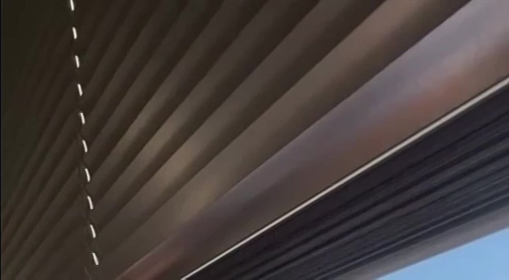 � ����� �������������� 11 ���������� ����