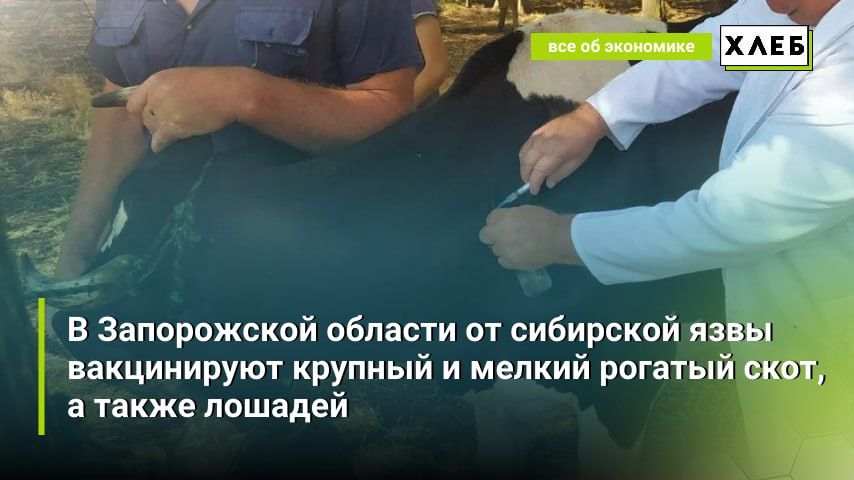 � ����������� ������� �� ��������� ���� ����������� ������� � ������ ������� ����, � ����� �������