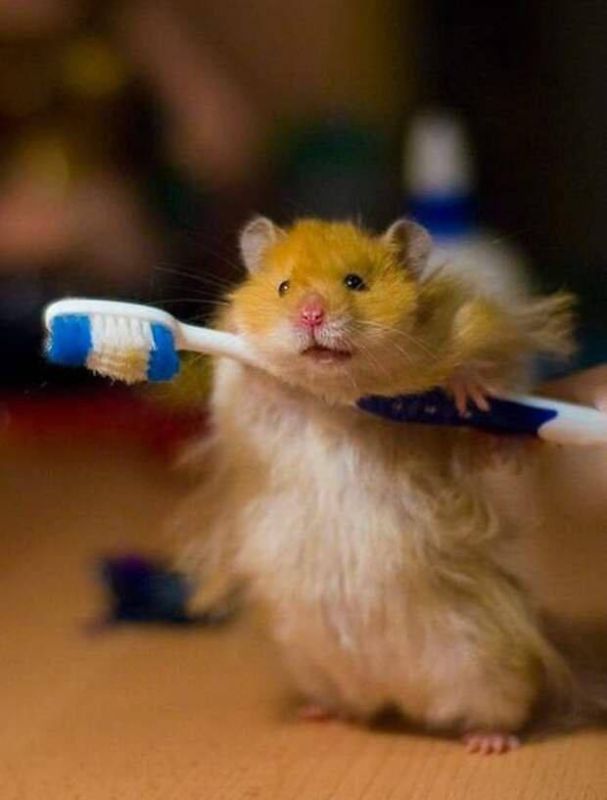 ������ ������: � ������ �����! ������� ��������� ����������� � �� ������!