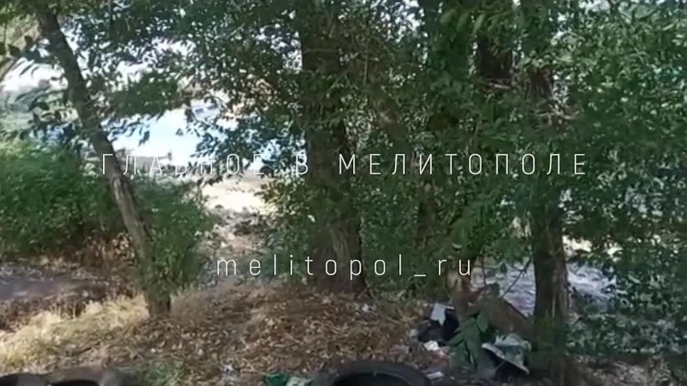 �������� ���, � ����� ����� � ������ ��������� �������� �� ������ �� ������ ������