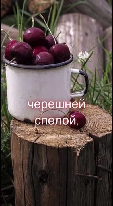 ������ ������: ������� ���� � �������� ����!