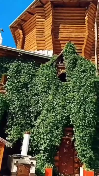 ������ ������: ����������� ������ ���� ������� ����������� (������� ��������)