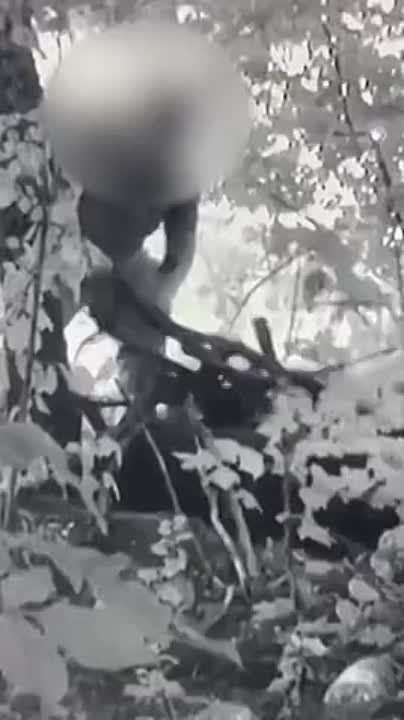 �������������� ��� ��, ������������� ��������� ������ �� ������� ������������� �����, ������� �� ������� � ������ ������������