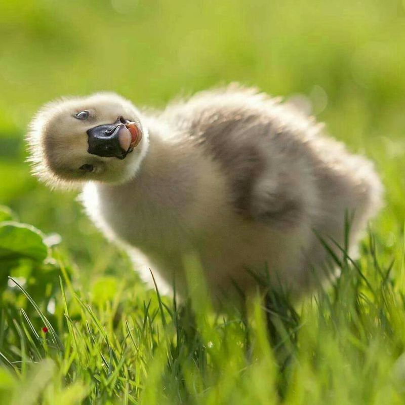 ������ ������: ������ ����! ��� ��������� �������