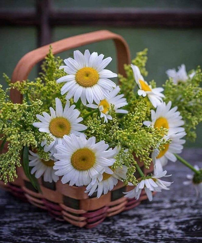 ������ ������: ���� ���������� ��� �����, ����� ��� ���������!