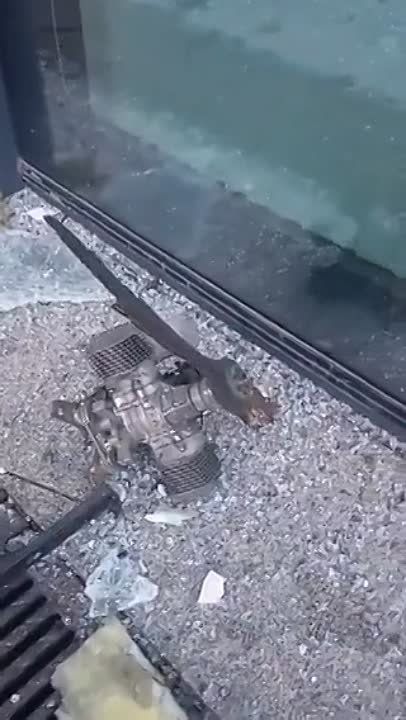 �� ���������� ������ �������-���� ����� ��������� �� ������ �� �������������, ������������� � ����� ���� �����