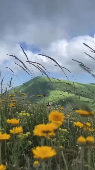 ����������� ��� ����!. �����������
