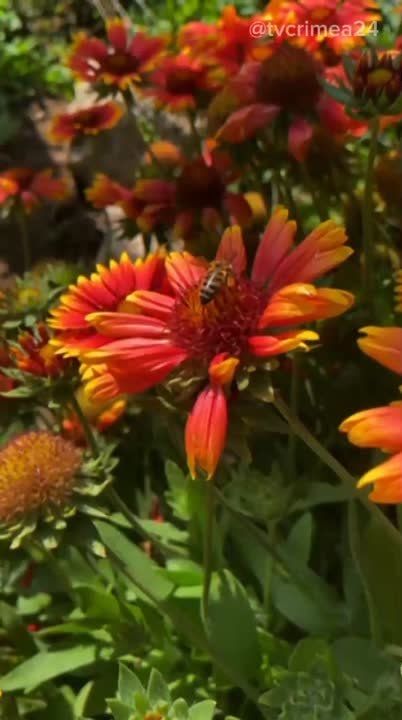 ��� � ������ ��������� ���������..