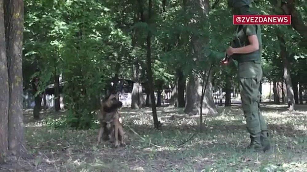 ����� 400 �������� ��������� ����������� �������������� ������� ����������� � ���������� ����������� �������