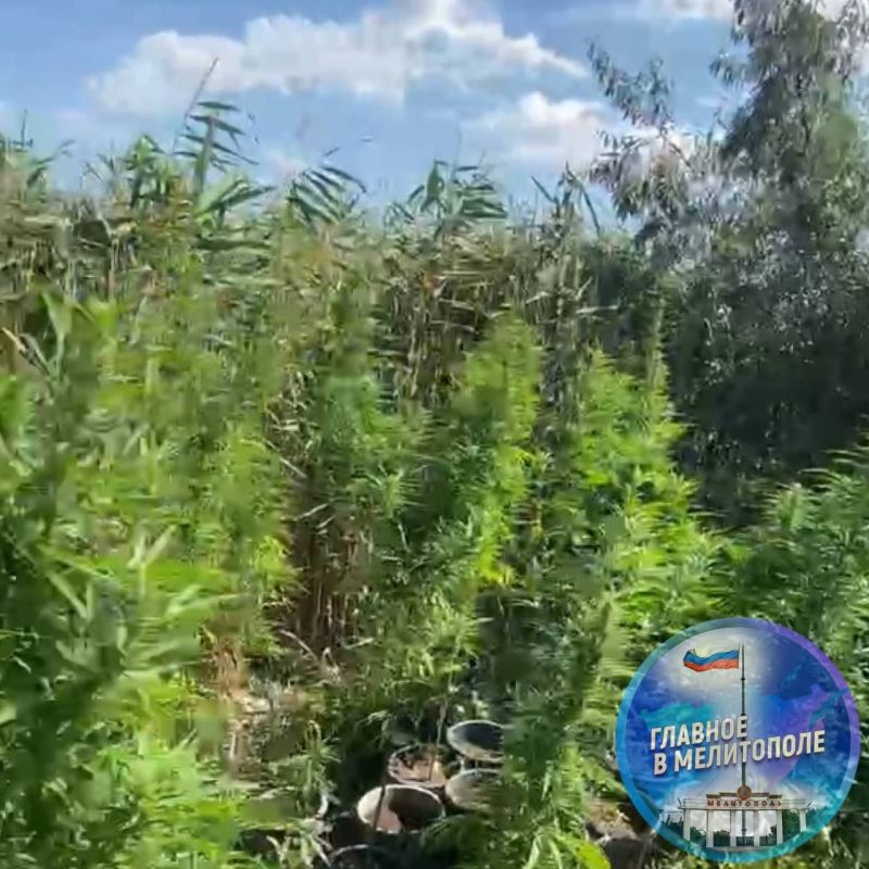 � ���������� ����������� ������ ��������� ���� ������ �������