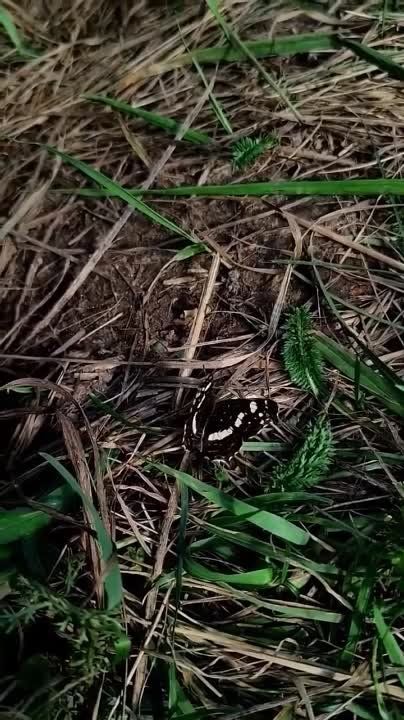 ������ ������: � ������ �����!. ������������ ��������� ������ ������� � ���� ����! ������� ��������� ��� ���������� �� ����! ������ ������ | �������������� �� ��� ������� | Telegram | ��������� | ������������� | ����