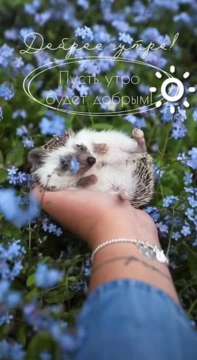 ������ ����! ������ ������������ - ������� ��������!