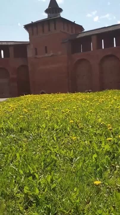 ������ ������: ����������� ������, ������