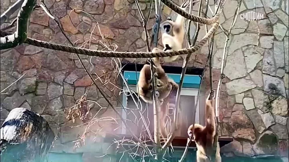 ���� � ��������� �� ������ ��� �����, �� � ��� ��������