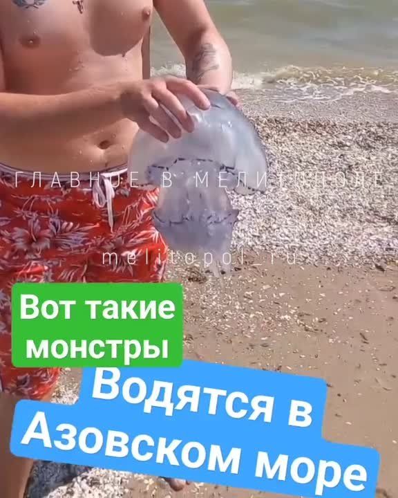 ������������ ������� ������� � �������� ������ � �������� ����