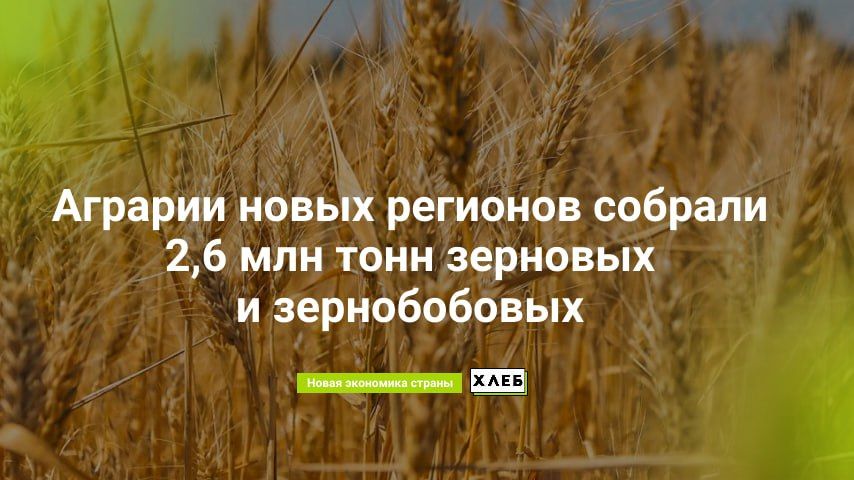 ������� ����� �������� ������� 2,6 ��� ���� �������� � ������������