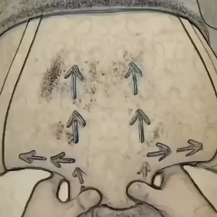 ������, ������ � ��� ������ ��������� ������� ������ �������
