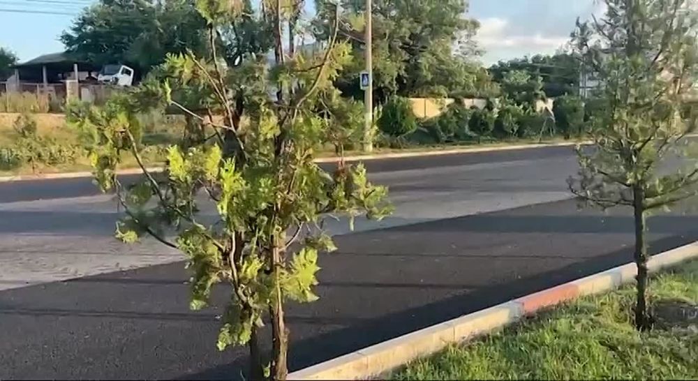 �� ��������� ������� ������������ � ���������� ������ ���� ���� ������ �� ������� ������ �������� � ������������ ������