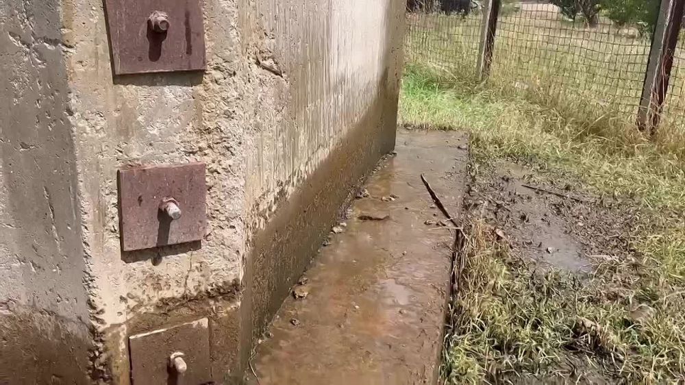 ������ ������: ����� �� ���������: ������ �������� � ��������������