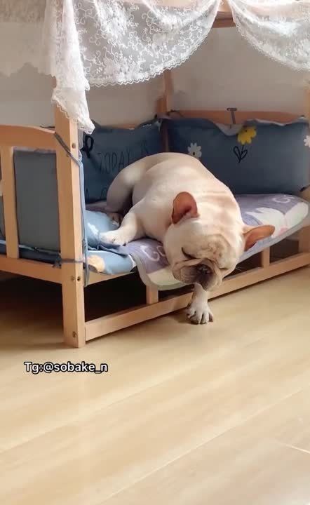 ������ ������: ��, � ���� ������ ������, �� ��������! � ������ �����