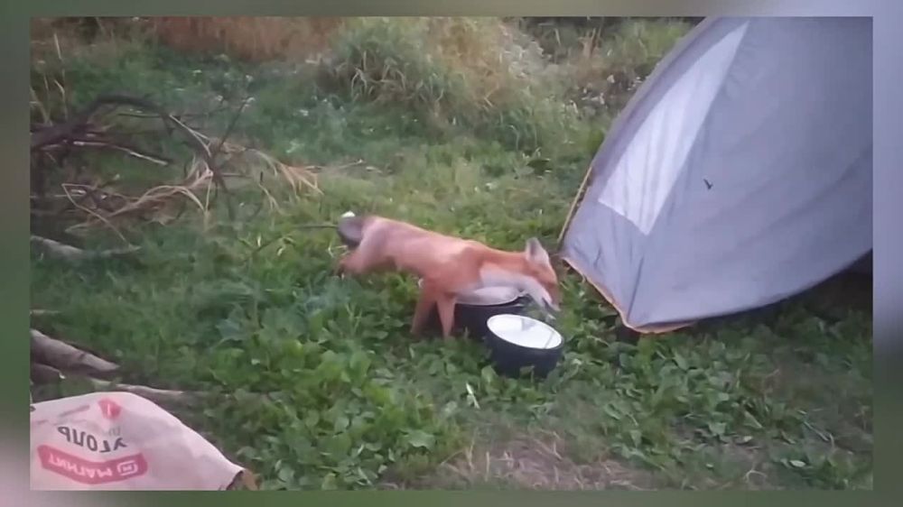 ����� �������� � ������ ������� ������ ����� ������