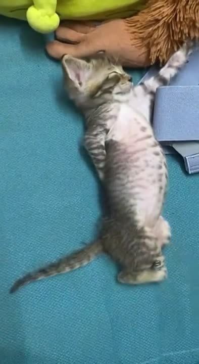 ������ ������: ��� ������� ��������! ���� ��������, � ������ �����