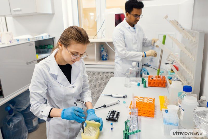 ������ ������: � ���� ����������� ���-������ ��� ����������� �������