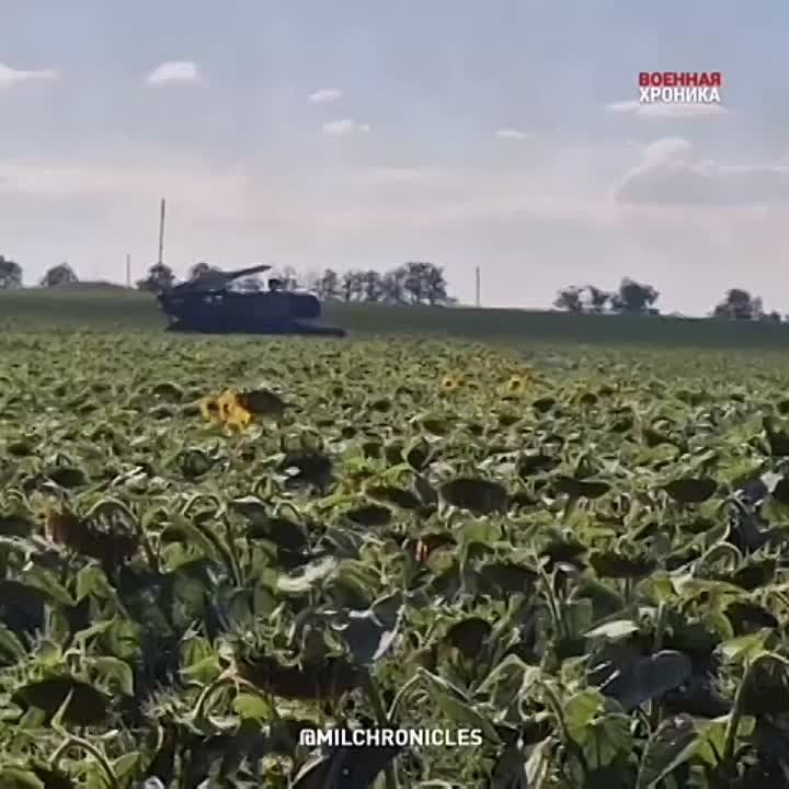 ����� ������ ������� ��� ���� �� ����������� �����������