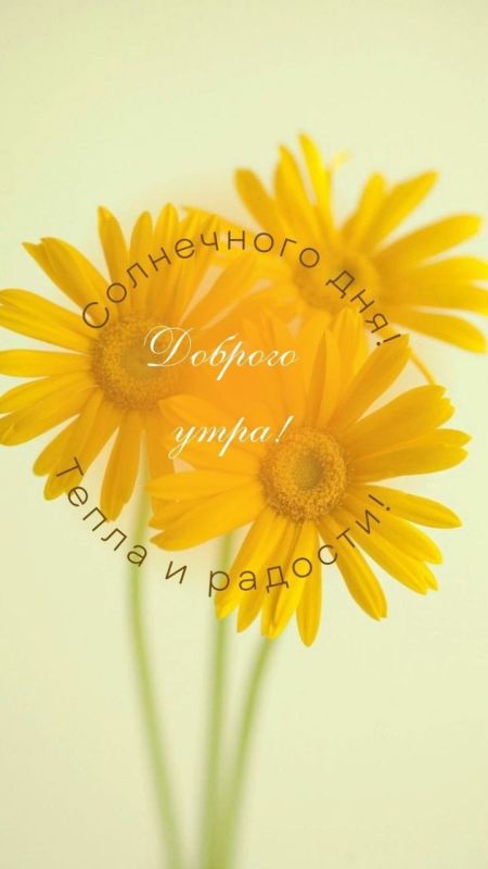 � ������ �����. �������� ��� � ����������