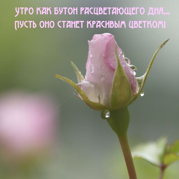 ���� ����� ����������, ����� ������������