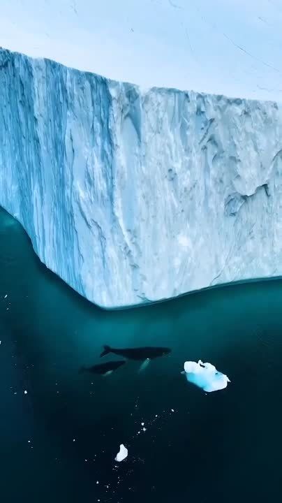 ������ ������: ������� �������� � ��� ������ ������ ���� �����������!