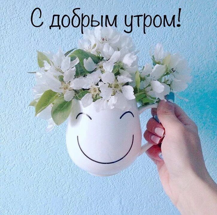 ������ ����. ��������� ��� ��� � ����������
