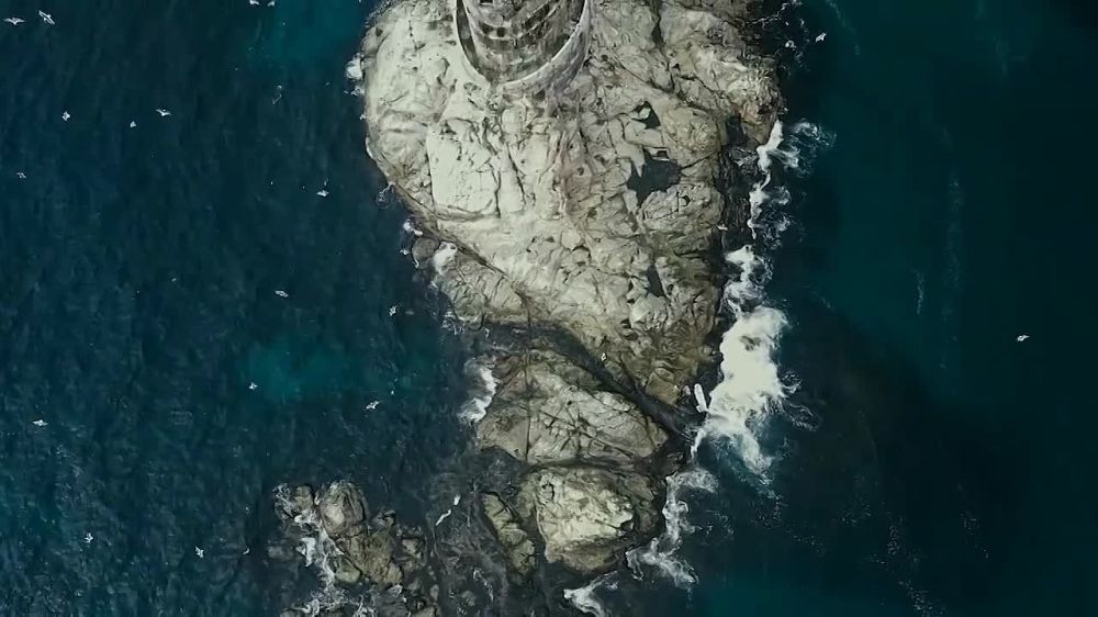 ������ ������: ���� �����, ����������� �������