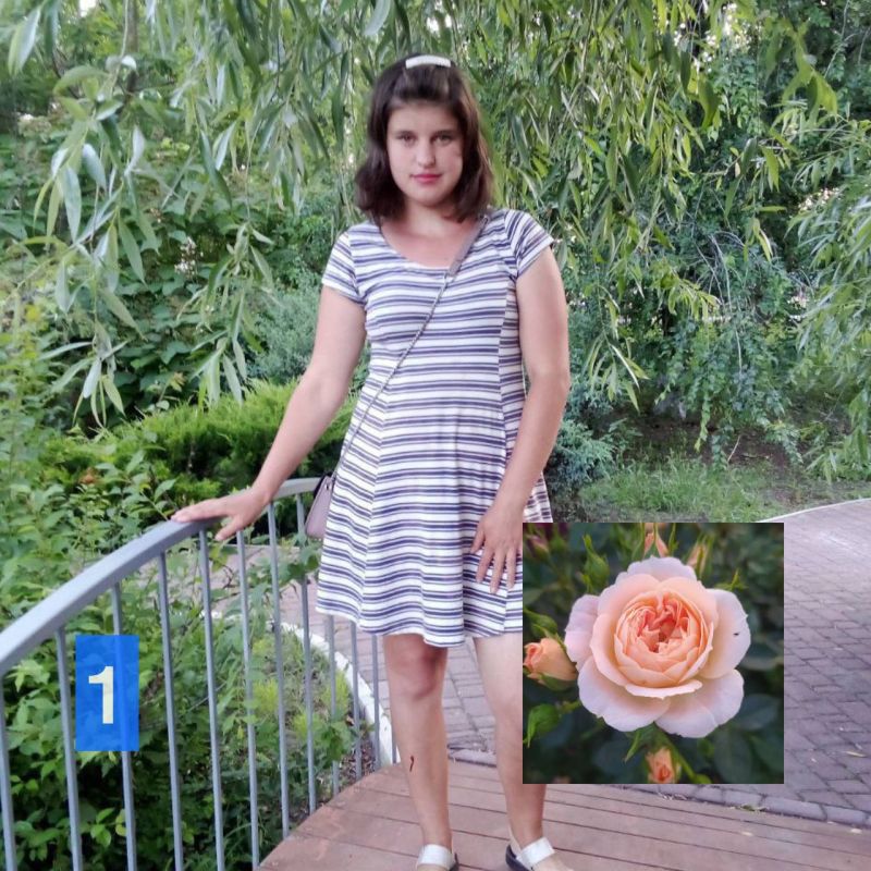 ������ ������: �������� ����� �������� �� ������ �������� ���� ��� ���� �������