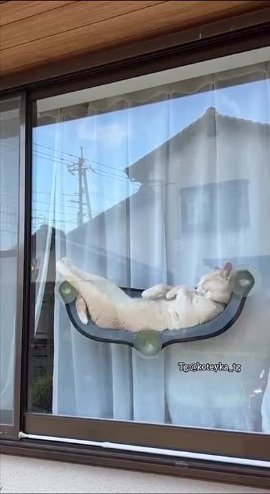 ������ ������: �������, ������! ���������������� �� ������ ��� � ���������� �����