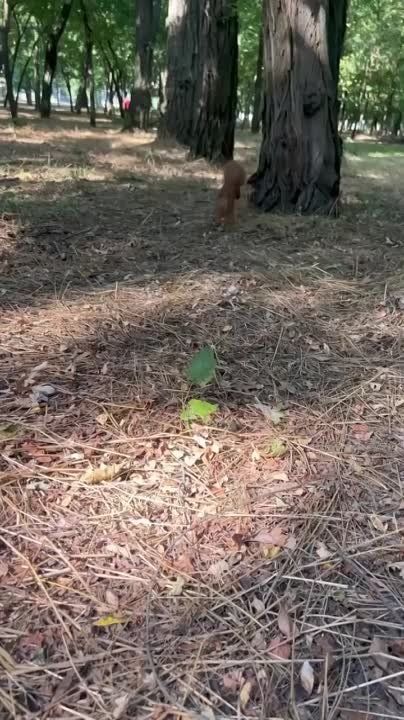 � ��� ��� ����� ��������� �������