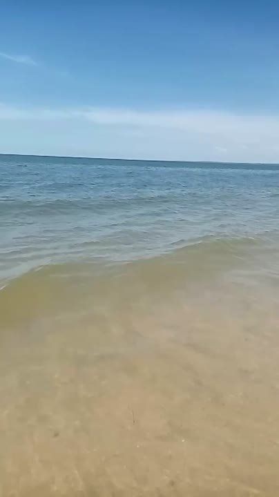 � ������ ����� �����������, ����������
