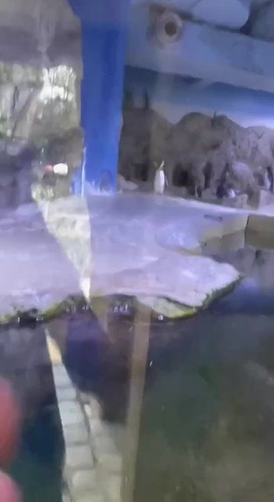 ������ ������: � ������ �����! �������, �� ����� �������� ����� �� ������