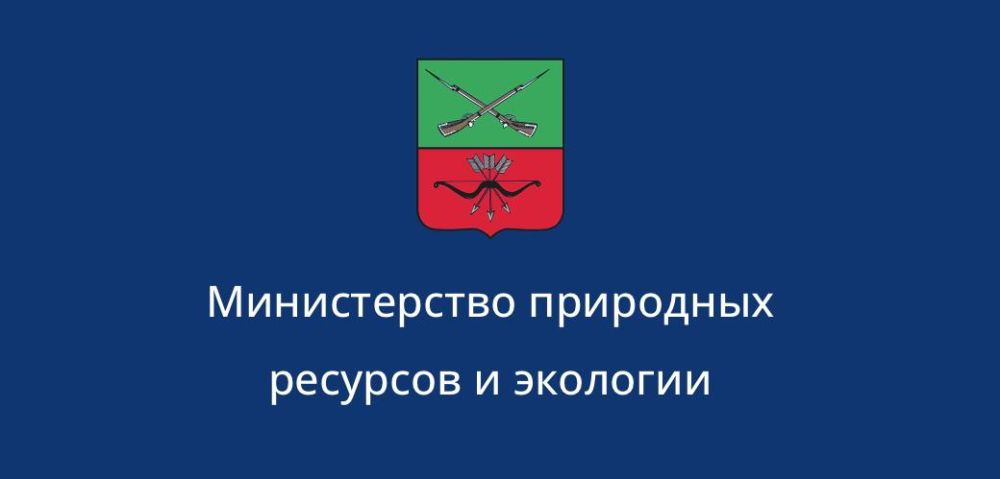 ������ ������: ��� ����� �������� �������� ����� ��������� � ����������� �������