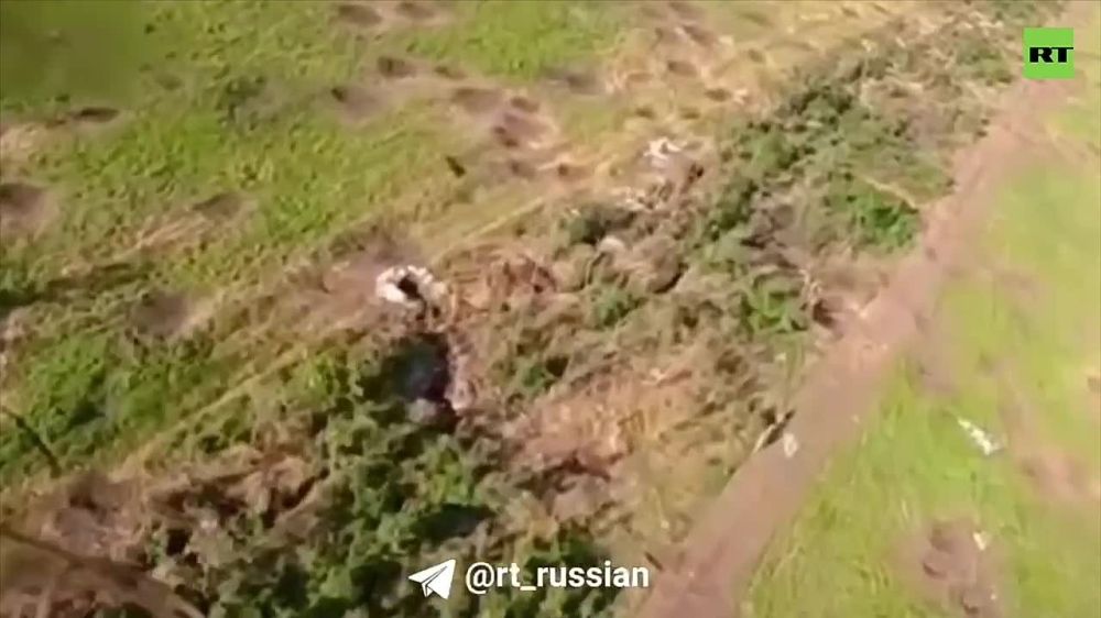 ���� ���������� FPV-������ �� ����� ��� ����� ��������