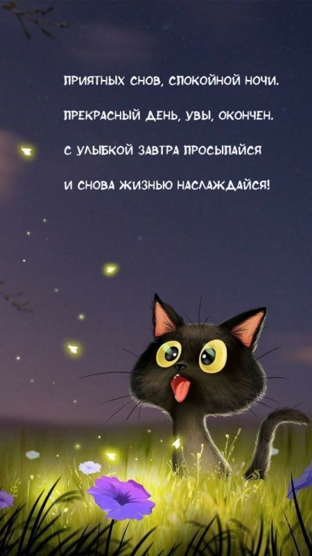 ������ ����, ������� ���� ����������